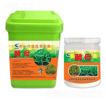 ��һ����Ч�I(y��ng)�B(y��ng)��-��ĸ-�����r(n��ng)��