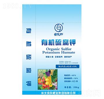 �ЙC(j��)���-�G�L(f��ng)95-�G�L(f��ng)�ʘI(y��)