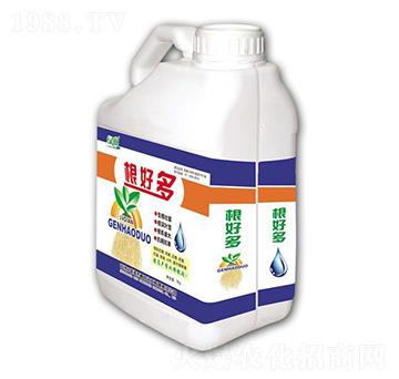 ���ö�-�G��-��������