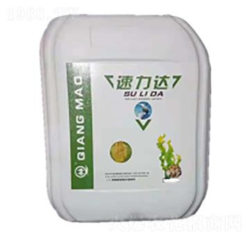 �����_(d��)-��΢����