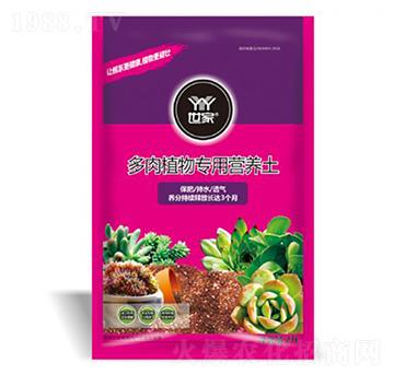 ����ֲ��àI(y��ng)�B(y��ng)��-��