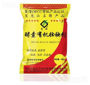 12���������ЙC���턩-�_(d��)�S