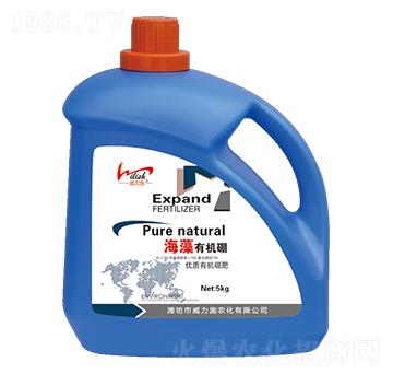 �����ЙC(j��)��-����ʩ