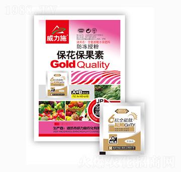 ����������-����ʩ