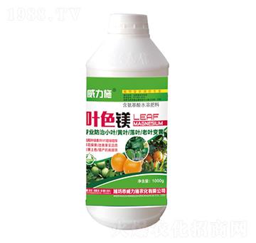 �~ɫ�V-����ʩ