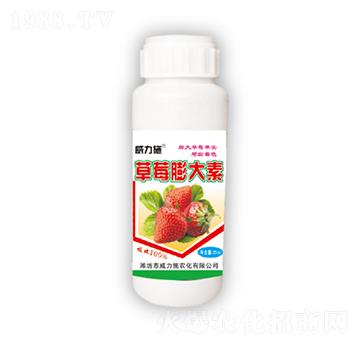 ��ݮ�����-����ʩ