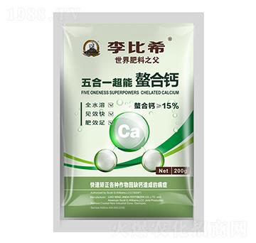 ���һ���������}-���