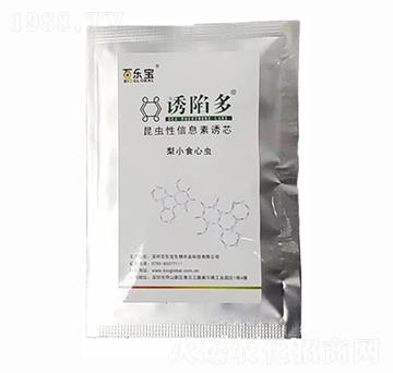 ��Сʳ���x���Tо-�T�ݶ�-�٘�(l��)��