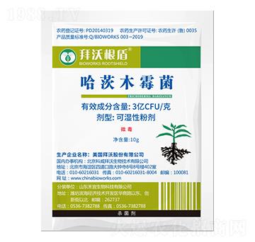 ���ָ��ܹ���ľù��-����