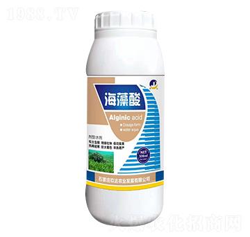 ������-���_