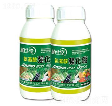 �����Ꮚ���� ֲ���� �R������