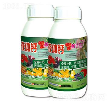 ���w�} ֲ���� �R������