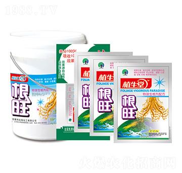 ���� �R������