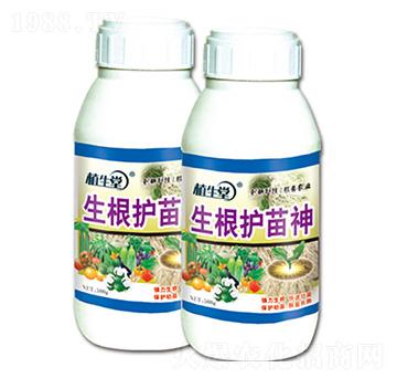 �����o(h��)���� ֲ���� �R������