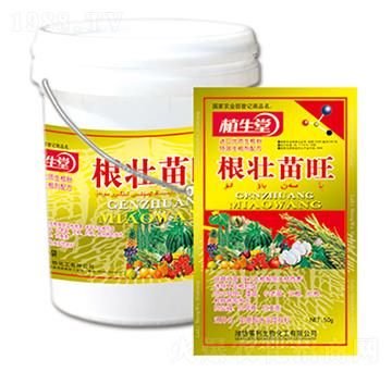 �������� �R������