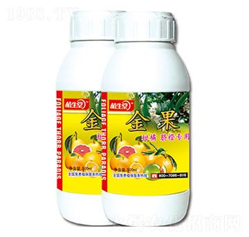 ��� ֲ���� �R������