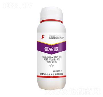 5%�����-���A-�t��