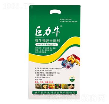 ΢�����(f��)�Ͼ��� ����ţ ����