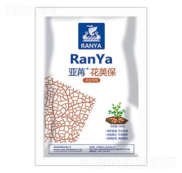 �������� ���ۻ��v�� ���ۇ�(gu��)�H