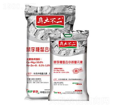 ������������΢��Ԫ�� 