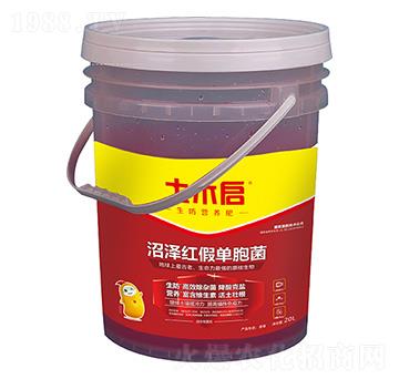 �ӝɼt�نΰ��� ��ľ������