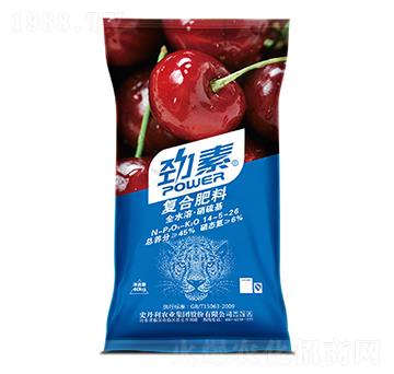 ���Ҍ��ÏͺϷ���14-