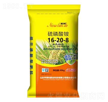 �������@16-20-8-������ʘI(y��)