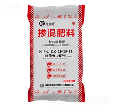 �L(zh��ng)Ч����͓������19-19-19-�P���A