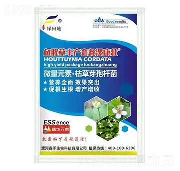 �~�Ȳ��S�a�ײ�-�𿵉�