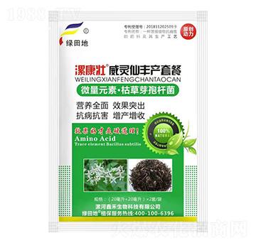 ���`���S�a�ײ�-�𿵉�