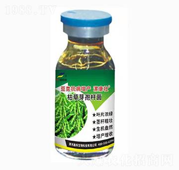 ��������a���ã��ݲ�