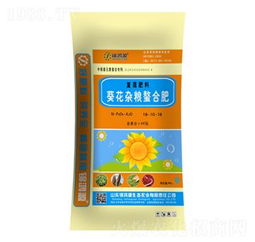 �����s�Z���Ϗ�(f��)�����1