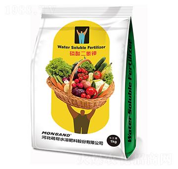 ��������-�Ȏ�