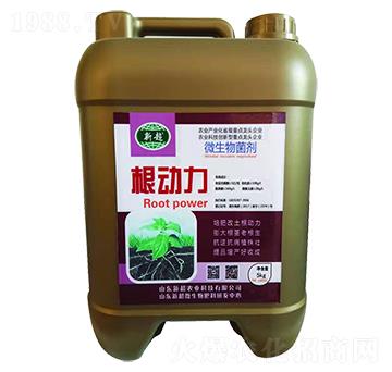 ΢�������-������-��