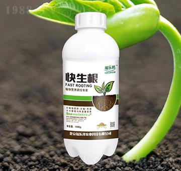 ������-������