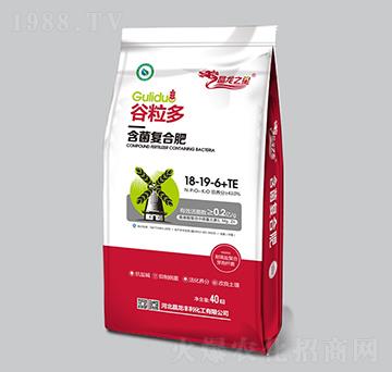 �����ͺϷ�18-19-