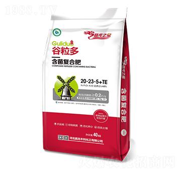 �����ͺϷ�20-23-