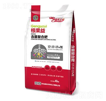 �����ͺϷ�17-17-17+TE-������-����