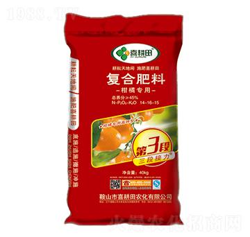 ���ٌ��Ï�(f��)�Ϸ�14-1