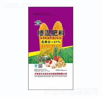 �������31-10-10-������