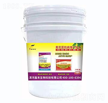 �S���˿������a�M��-�G