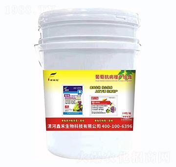 ���ѿ������a�M��-�G��