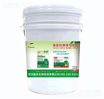 ��˿������a�M��-�G��