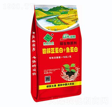 ø���~(y��)����+�~(y��)����-�G�����r(n��ng)