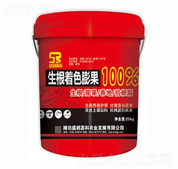 ������ɫ���100%-ʢ���߿�