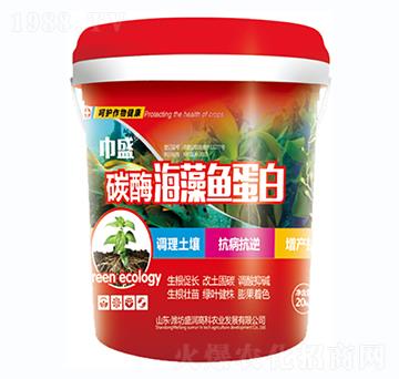 ̼ø�����~����-��ʢ-ʢ��(r��n)�߿�