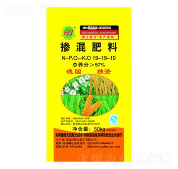 �������19-19-19-���ؠ�