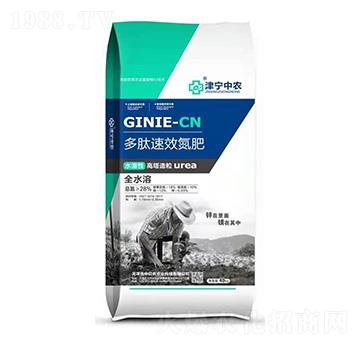 ���ĵ���-�Ѓ|�r(n��ng)