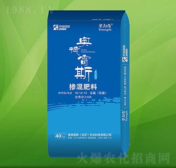 �������18-14-10-ʥ����-�W����˹