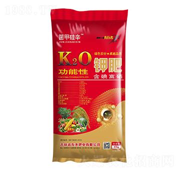 ������⛷�-���׹���-